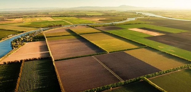 Εμπλέκονται σε απάτη επιδότησης αγροτεμαχίων